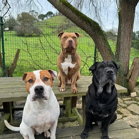 Feriehus Casa Candelas