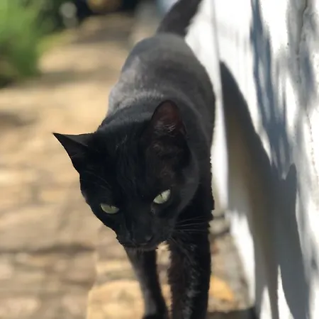Casa Candelas Lugo de Llanera