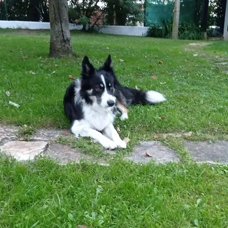 Tatil Evi Casa Candelas *