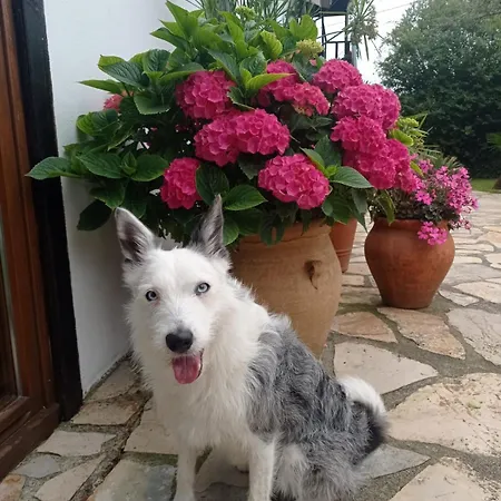 Casa Candelas Tatil Evi