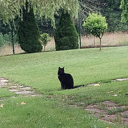 Casa Candelas * Lugo de Llanera