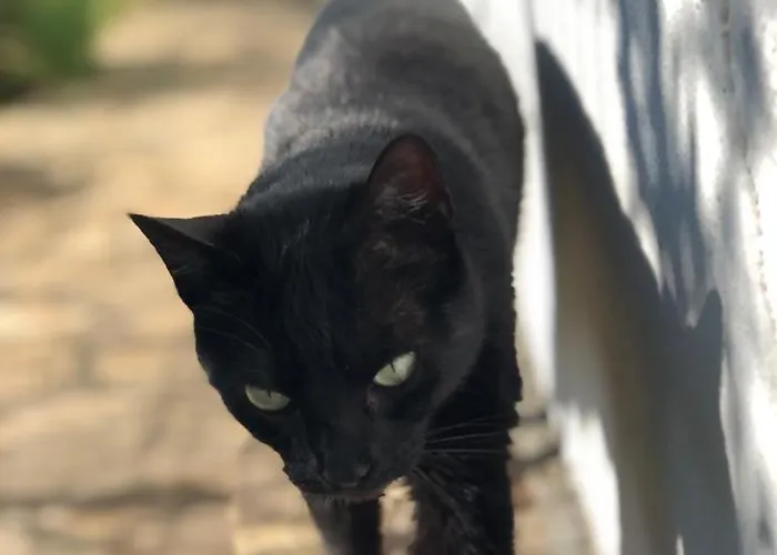Casa Candelas Lugo de Llanera