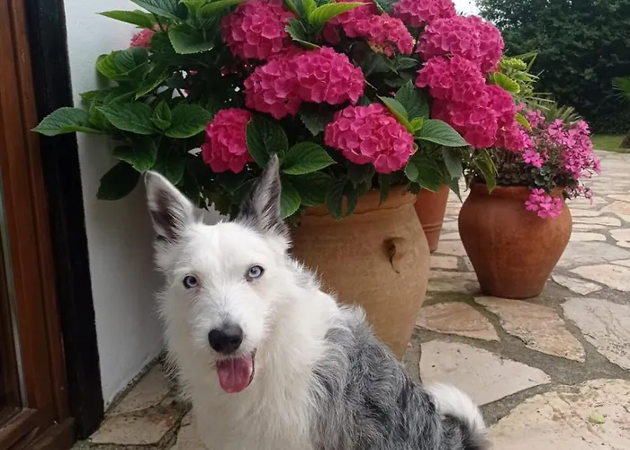 Casa Candelas Hébergement de vacances